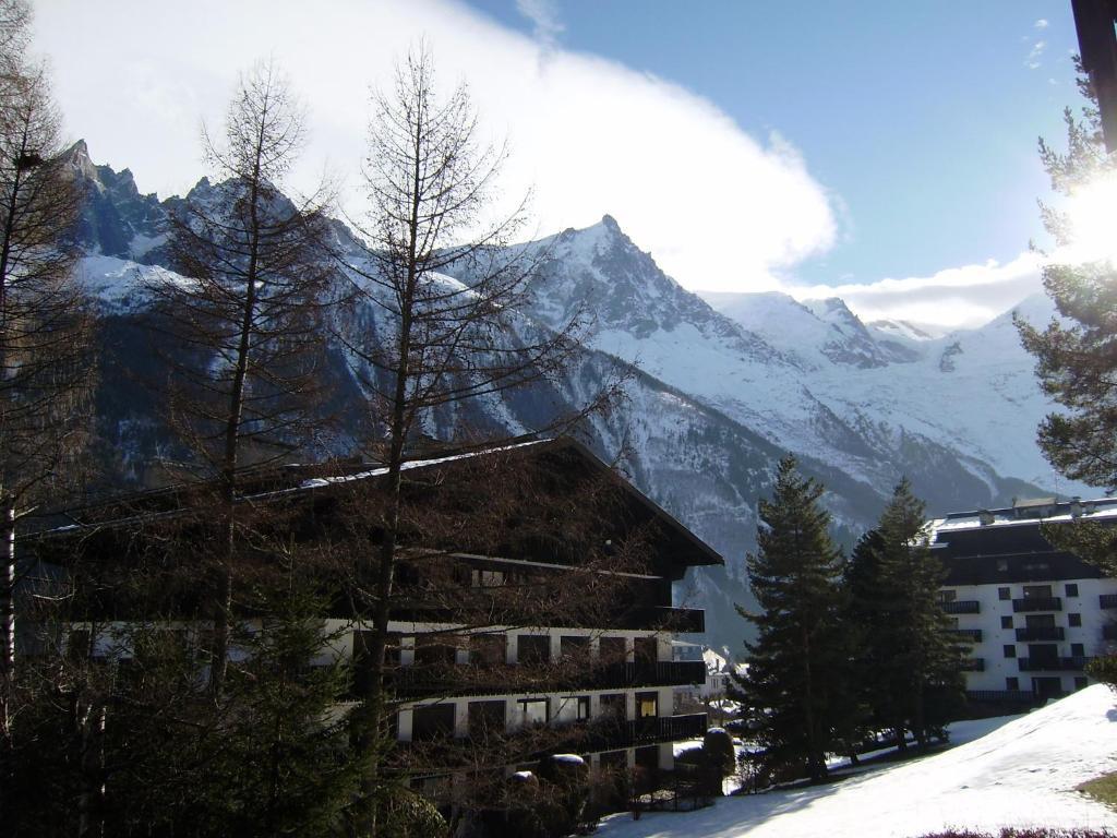 Studio Les Drus / Studio Du Brevent Chamonix Rom bilde